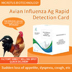Cartão de teste rápido de anticorpos do vírus da gripe aviária fornecedor