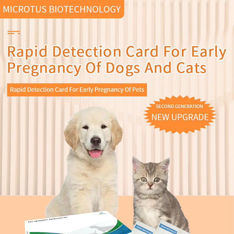 Manual de instruções do teste de gravidez precoce para cães e gatos fornecedor