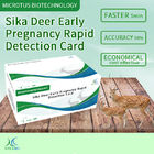 Sika Deer Gravidez Precoce Cartão de Detecção Rápida instruções fornecedor