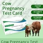 Cartão de teste rápido de gravidez precoce de vaca fornecedor
