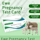 Instruções para o cartão de teste de gravidez precoce de ovelhas fornecedor