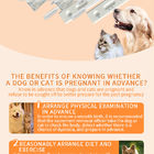 Manual de instruções do teste de gravidez precoce para cães e gatos fornecedor
