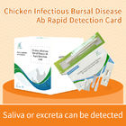 Cartão de Detecção Rápida da Doença Infecciosa Bursal do Frango fornecedor