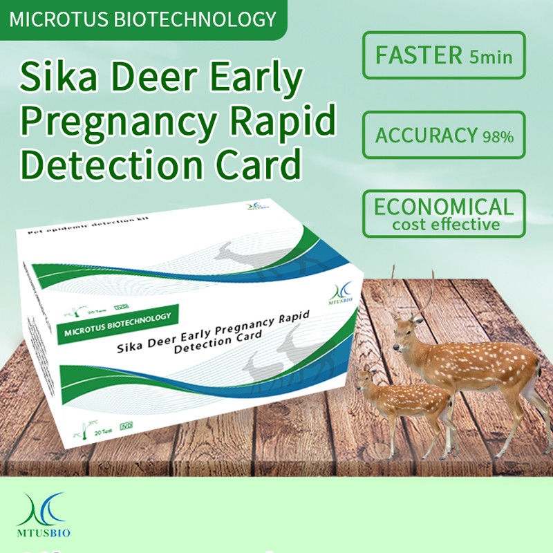Sika Deer Gravidez Precoce Cartão de Detecção Rápida instruções fornecedor