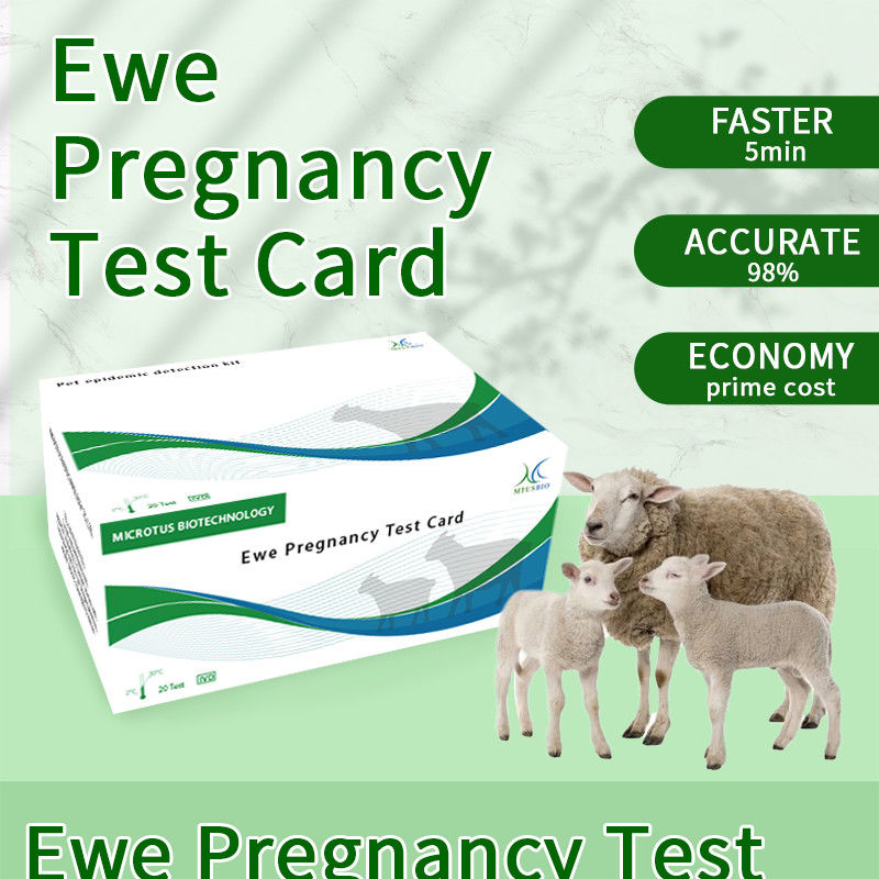 Instruções para o cartão de teste de gravidez precoce de ovelhas fornecedor